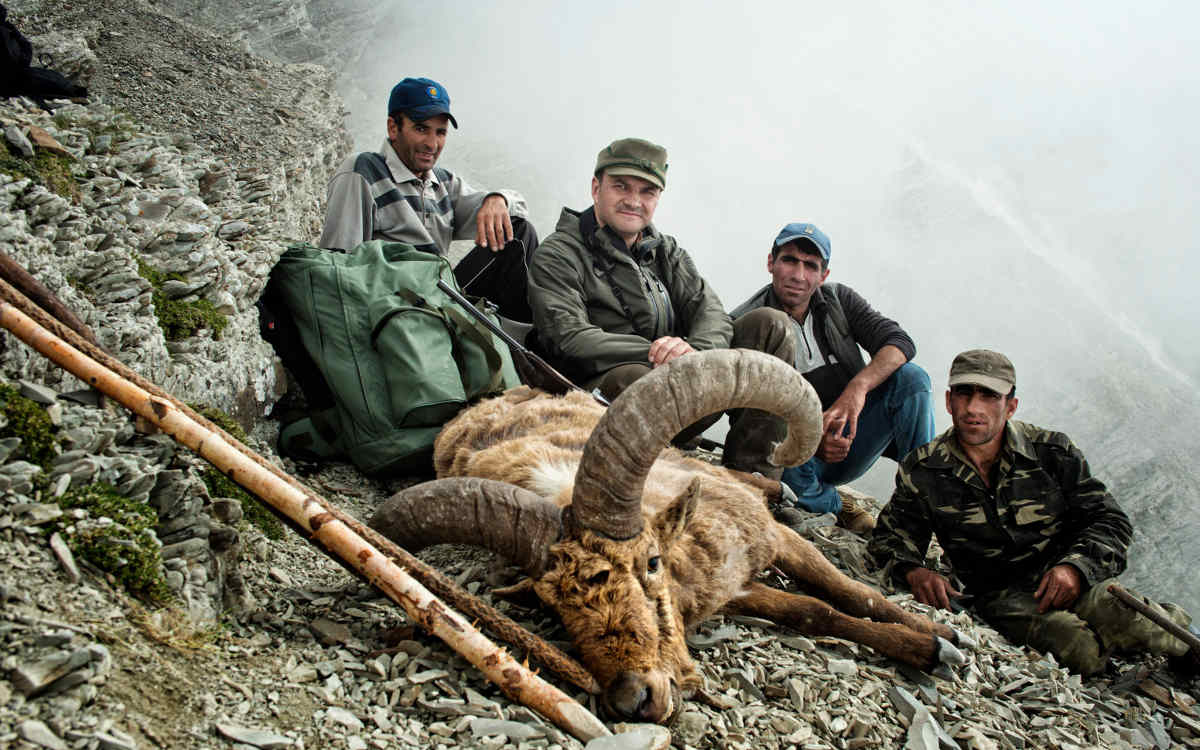 Russia Tours Jagdreisen Nach Russland Und Gus Kaukasischer Steinbock